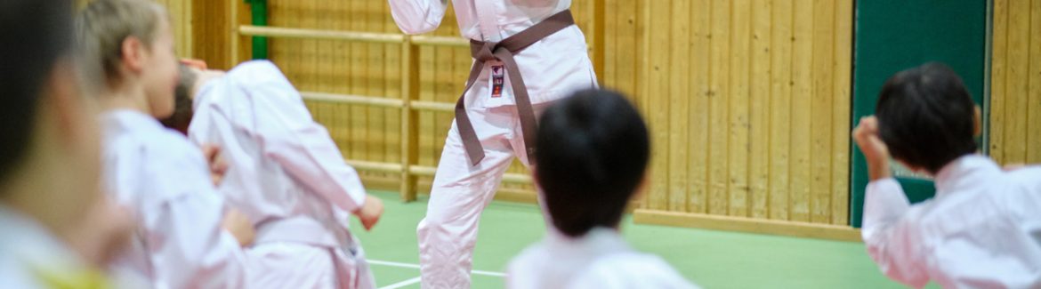 Ju-Jutsu-Kinder Training